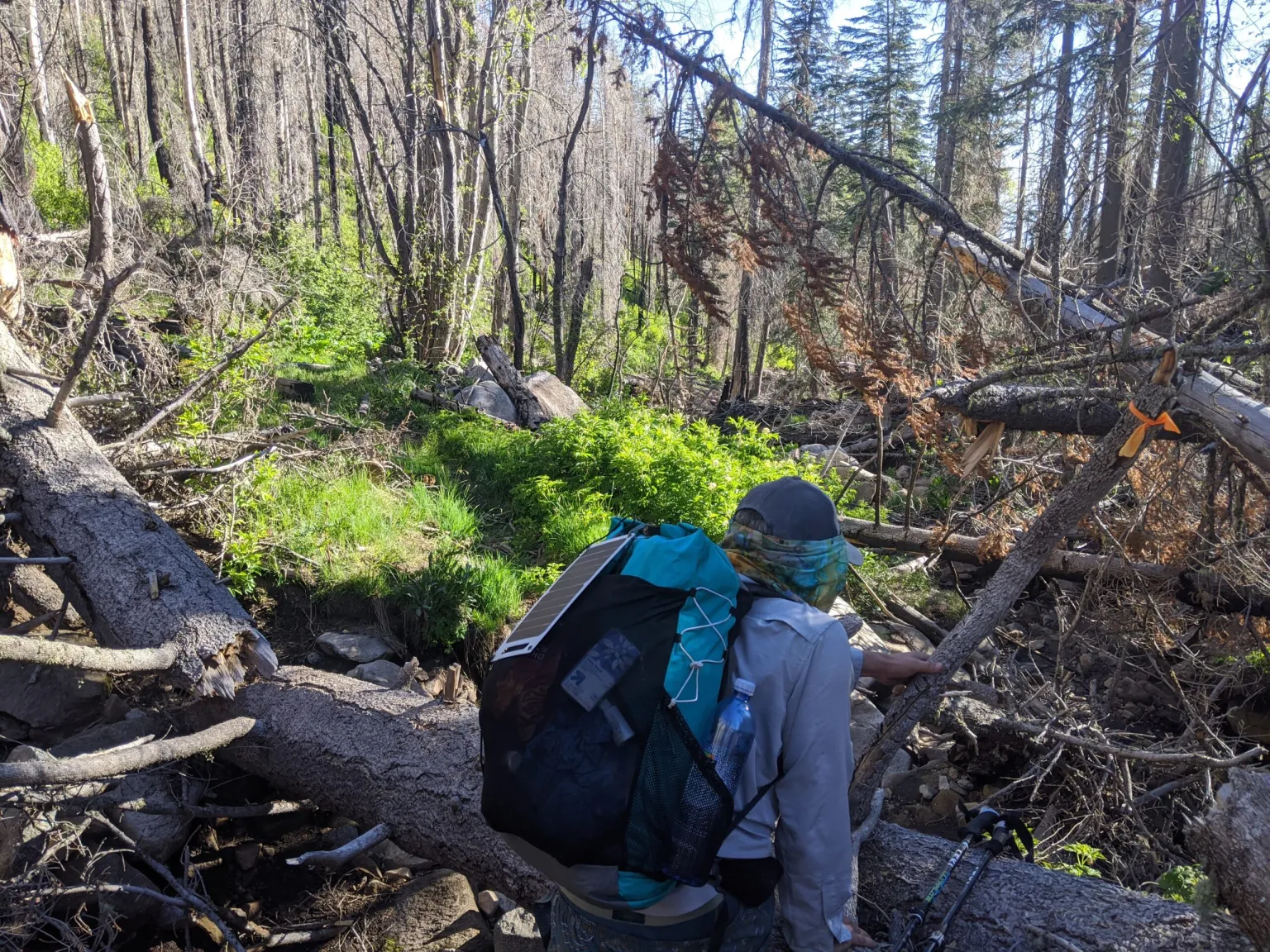 National Hiking Canada