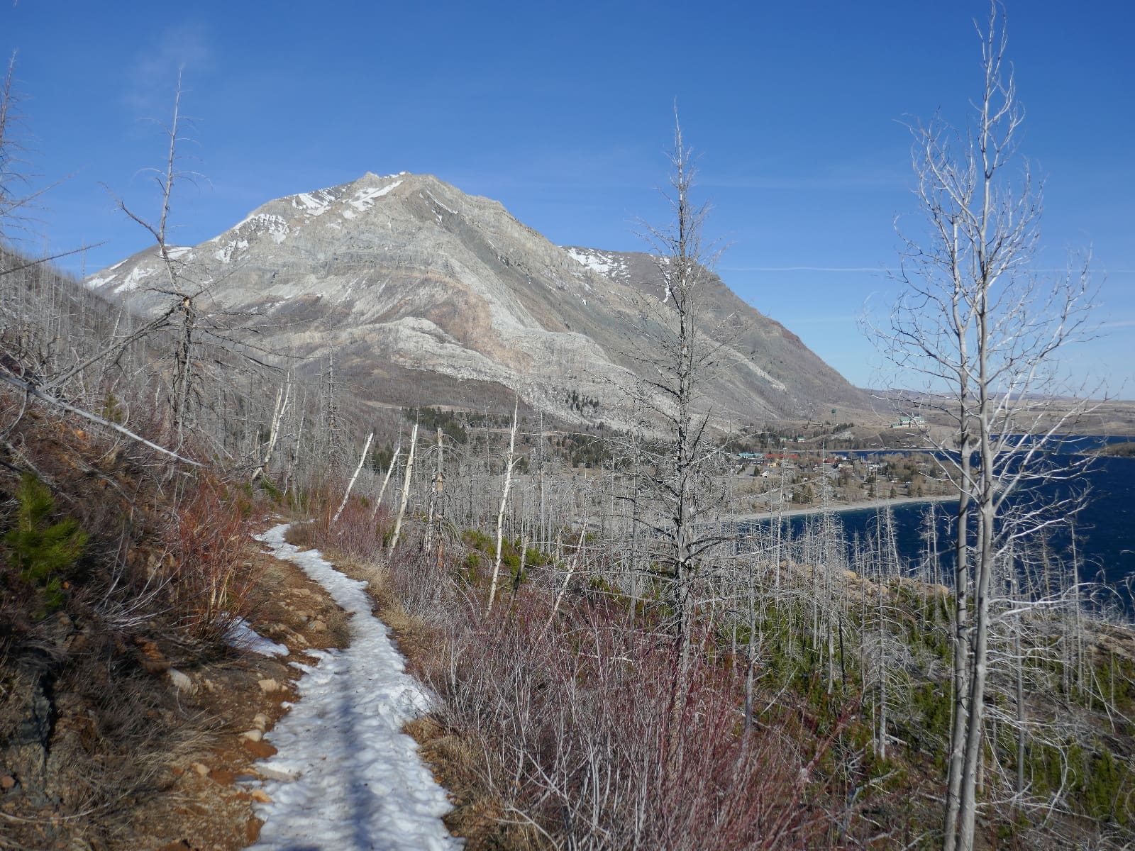 Hike or Ski – Your choice in Alberta